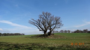 Stonehenge Deutschland