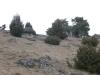 cimg4264
